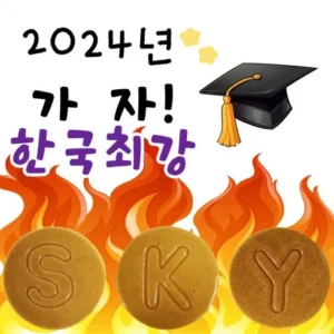 2024년 2024년 ㅁ 구매가이드 추천 Best5